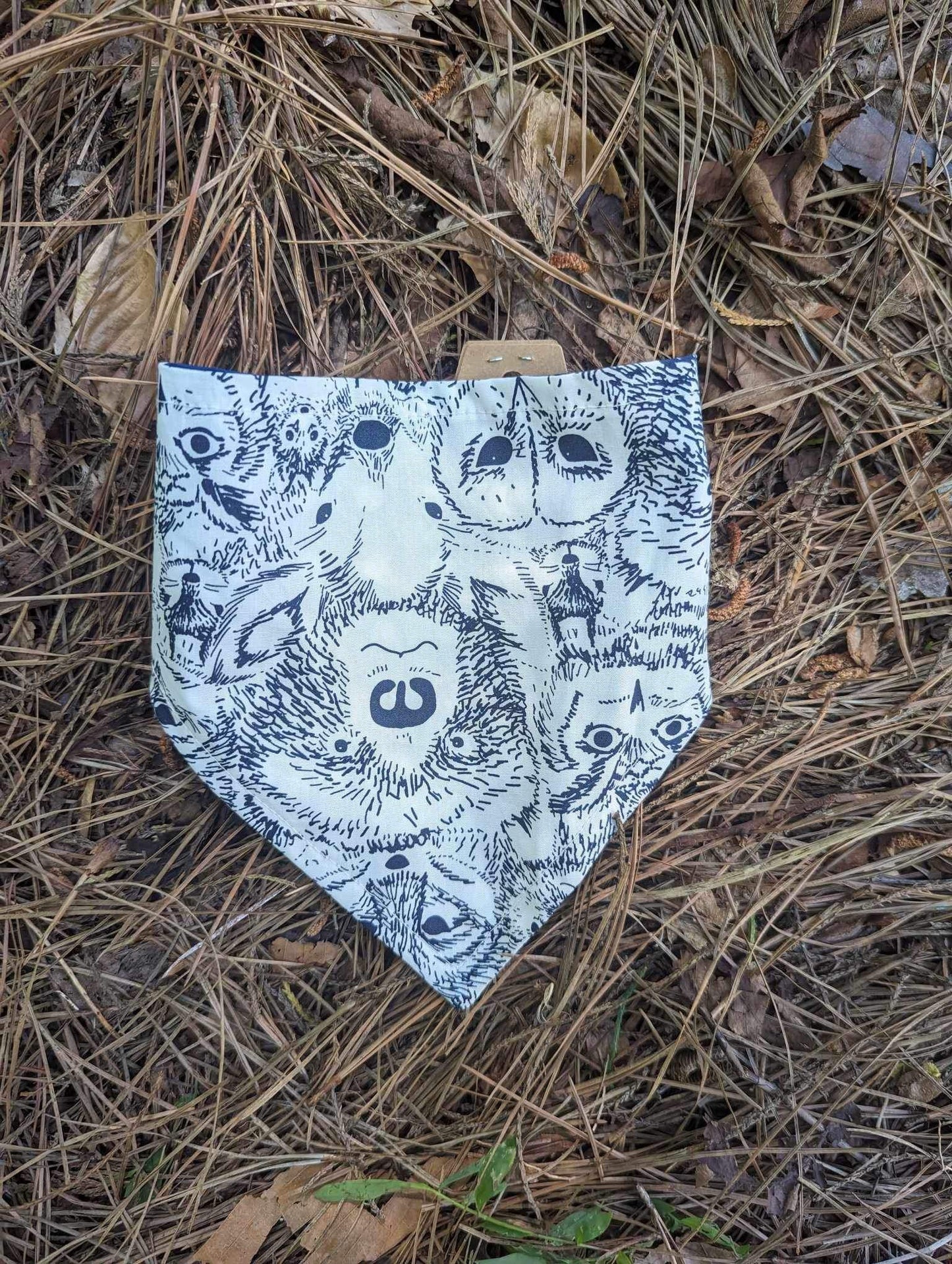 13’ Bandana