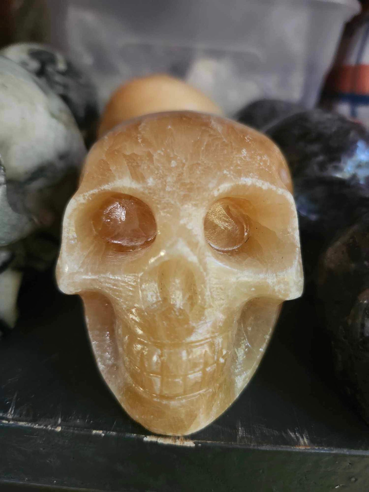 Crystal Skulls