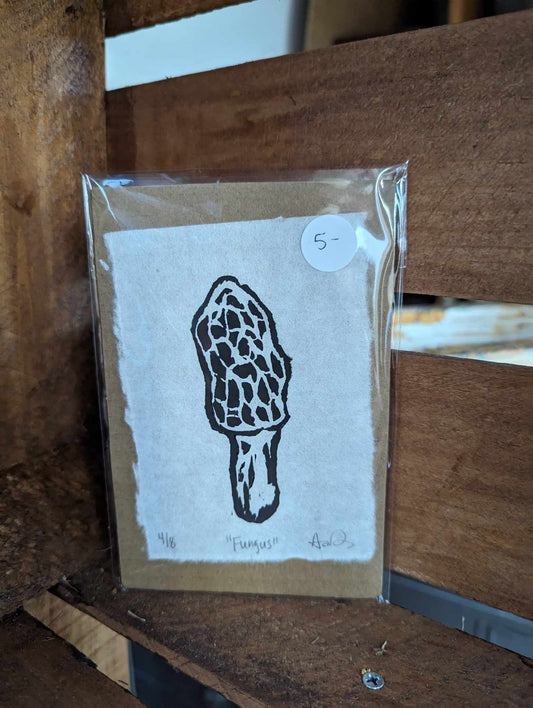 Fungus 4x5 print